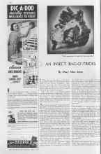 Better Homes & Gardens April 1937 Magazine Article: AN INSECT BAG-O'-TRICKS