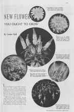 Better Homes & Gardens April 1937 Magazine Article: NEW FLOWERS YOU OUGHT TO GROW