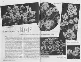 Better Homes & Gardens April 1937 Magazine Article: FROM PIGMIES TO GIANTS