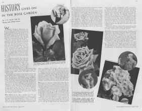 Better Homes & Gardens April 1937 Magazine Article: HISTORY LIVES ON IN THE ROSE GARDEN
