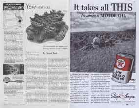 Better Homes & Gardens April 1937 Magazine Article: Page 68