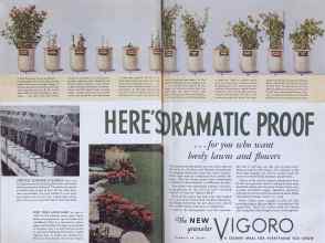 Better Homes & Gardens April 1937 Magazine Article: Page 166