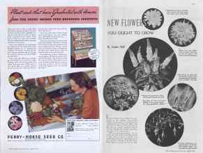 Better Homes & Gardens April 1937 Magazine Article: Page 168