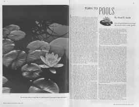 Better Homes & Gardens May 1937 Magazine Article: TURN TO POOLS