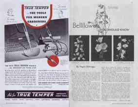 Better Homes & Gardens May 1937 Magazine Article: Page 134