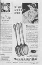 Better Homes & Gardens June 1937 Magazine Article: The Tulip
