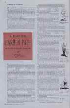 Better Homes & Gardens July 1937 Magazine Article: ALONG THE GARDEN PATH