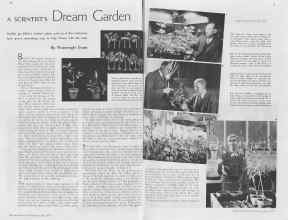Better Homes & Gardens July 1937 Magazine Article: A SCIENTIST'S Dream Garden