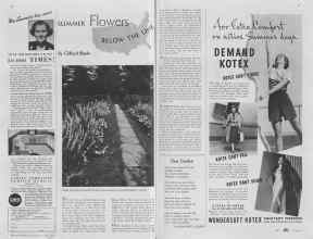 Better Homes & Gardens July 1937 Magazine Article: SUMMER Flowers BELOW THE LINE