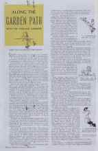 Better Homes & Gardens August 1937 Magazine Article: ALONG THE GARDEN PATH