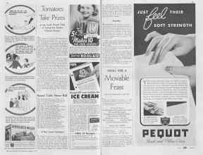 Better Homes & Gardens August 1937 Magazine Article: Tomatoes Take Prizes