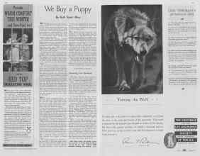 Better Homes & Gardens September 1937 Magazine Article: Page 50