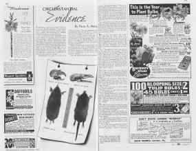 Better Homes & Gardens September 1937 Magazine Article: CIRCUMSTANTIAL Evidence
