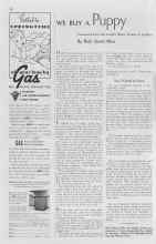 Better Homes & Gardens October 1937 Magazine Article: WE BUY A Puppy