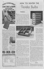 Better Homes & Gardens October 1937 Magazine Article: HOW TO WINTER THE Tender Bulbs