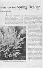 Better Homes & Gardens October 1937 Magazine Article: PLANT NOW FOR Spring Beauty