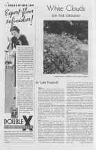 Better Homes & Gardens October 1937 Magazine Article: White Clouds ON THE GROUND