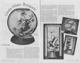 Better Homes & Gardens October 1937 Magazine Article: Under-Water Bouquets