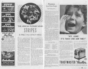 Better Homes & Gardens October 1937 Magazine Article: Page 80