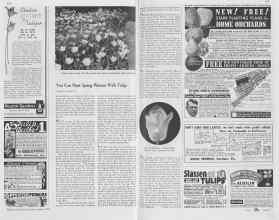 Better Homes & Gardens October 1937 Magazine Article: Page 158