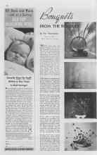 Better Homes & Gardens November 1937 Magazine Article: Bouquets FROM THE RADSIDE