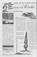 Better Homes & Gardens November 1937 Magazine Article: HOW TO GET YOUR GARDEN READY FOR Winter