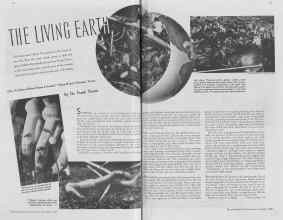 Better Homes & Gardens November 1937 Magazine Article: THE LIVING EARTH