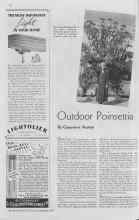 Better Homes & Gardens December 1937 Magazine Article: Outdoor Poinsettia