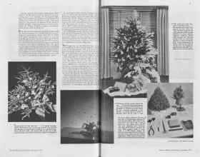 Better Homes & Gardens December 1937 Magazine Article: Article