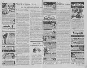 Better Homes & Gardens December 1937 Magazine Article: Page 96