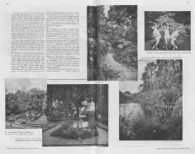 Better Homes & Gardens January 1938 Magazine Article: Page 14