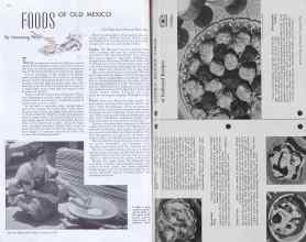 Better Homes & Gardens January 1938 Magazine Article: Page 44