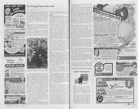 Better Homes & Gardens January 1938 Magazine Article: Page 78