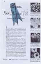 Better Homes & Gardens February 1938 Magazine Article: BLUE RIBBON ANNUALS FOR 1938