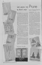 Better Homes & Gardens February 1938 Magazine Article: SEE HOW TO Prune