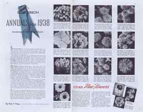 Better Homes & Gardens February 1938 Magazine Article: Page 16