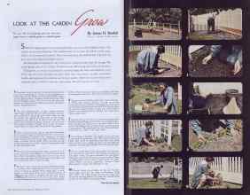 Better Homes & Gardens February 1938 Magazine Article: LOOK AT THIS GARDEN Grow