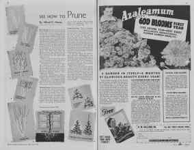Better Homes & Gardens February 1938 Magazine Article: Page 80