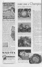 Better Homes & Gardens March 1938 Magazine Article: EVERY ONE A Champion