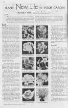 Better Homes & Gardens March 1938 Magazine Article: PLANT New Life IN YOUR GARDEN