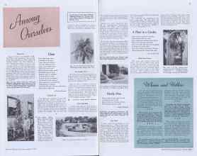 Better Homes & Gardens March 1938 Magazine Article: Page 24