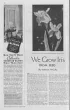 Better Homes & Gardens April 1938 Magazine Article: We Grow Iris FROM SEED