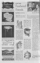 Better Homes & Gardens April 1938 Magazine Article: FOR OUR Feathered Friends