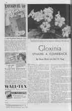 Better Homes & Gardens April 1938 Magazine Article: Gloxinia STAGES A COMEBACK