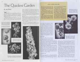 Better Homes & Gardens April 1938 Magazine Article: The Quickest Garden