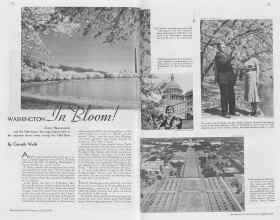 Better Homes & Gardens April 1938 Magazine Article: WASHINGTON In Bloom!