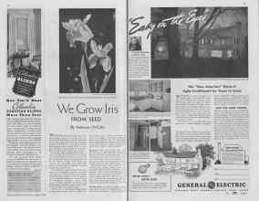 Better Homes & Gardens April 1938 Magazine Article: Page 58
