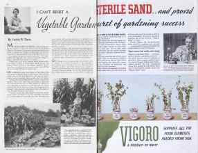 Better Homes & Gardens April 1938 Magazine Article: Page 134