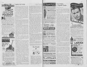 Better Homes & Gardens April 1938 Magazine Article: Page 146