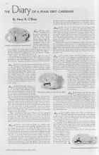 Better Homes & Gardens May 1938 Magazine Article: THE Diary OF A PLAIN DIRT GARDENER